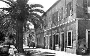 NEMOURS JPG (2)